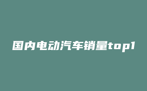 国内电动汽车销量top10