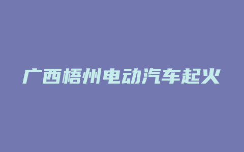 广西梧州电动汽车起火