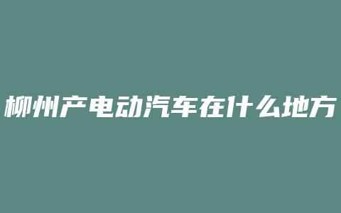 柳州产电动汽车在什么地方方有买