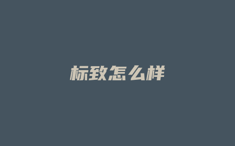 标致怎么样