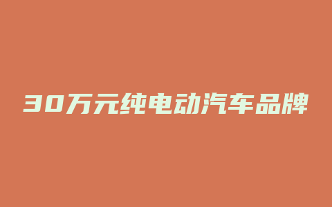 30万元纯电动汽车品牌