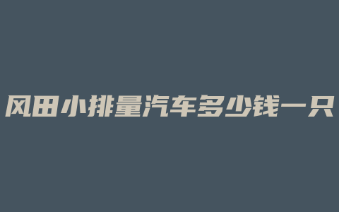 风田小排量汽车多少钱一只