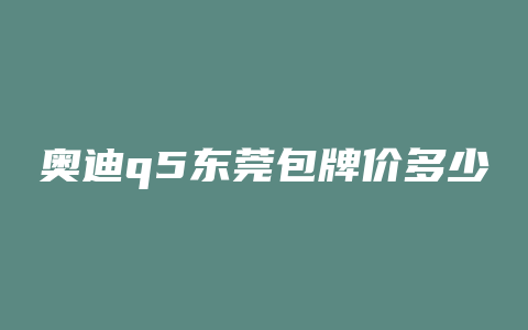 奥迪q5东莞包牌价多少