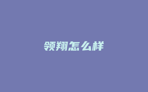 领翔怎么样