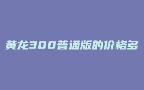 黄龙300普通版的价格多少钱