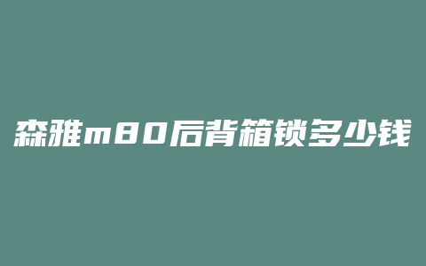 森雅m80后背箱锁多少钱