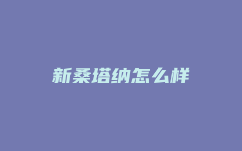 新桑塔纳怎么样