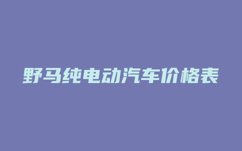 野马纯电动汽车价格表