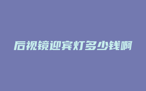 后视镜迎宾灯多少钱啊