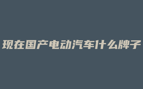 现在国产电动汽车什么牌子的好