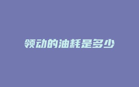 领动的油耗是多少