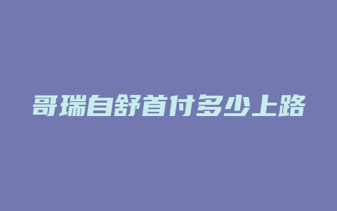 哥瑞自舒首付多少上路