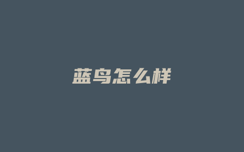 蓝鸟怎么样