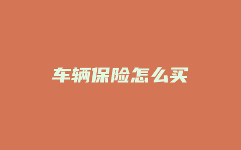 车辆保险怎么买