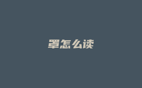 罩怎么读