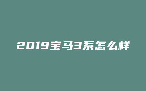 2019宝马3系怎么样